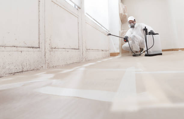 24/7 Emergency Mold Remediation experts in Hampton, MD