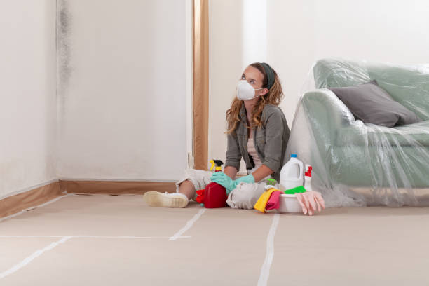 Reliable Mold Remediation contractor in Hampton, MD by 24 Hour Mold Removal